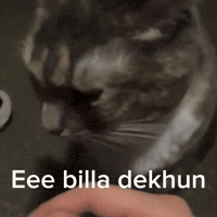 Billa GIF