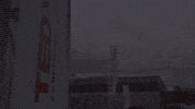 tedxpadova  GIF