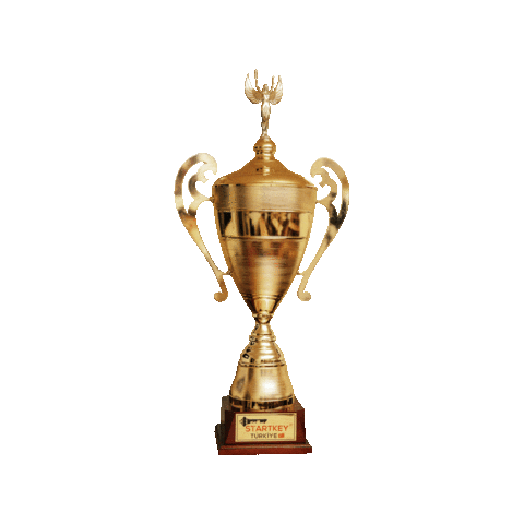 Football Win Sticker by Startkey