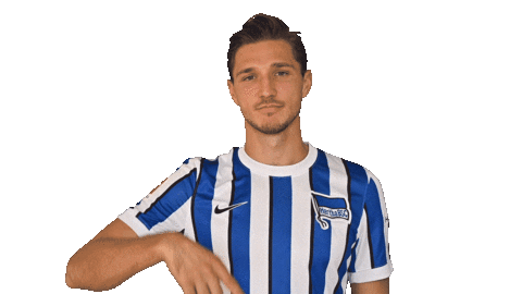 Niklas Stark Facepalm Sticker by Hertha BSC