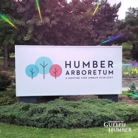 Guelph-Humber giphygifmaker GIF
