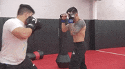Sport Sparring GIF by UFC