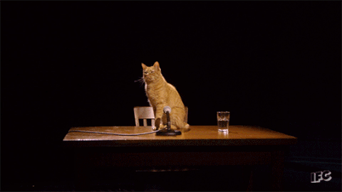 bill hader lol GIF by IFC