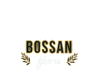 Christmas Новый Год Sticker by Bossan concept