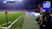 GIF by Sporbulteni