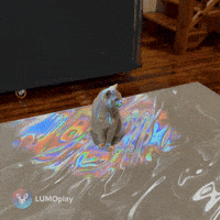 Interactive Floor GIF by LUMOplay