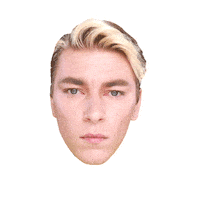 Face What Sticker by Ansheles