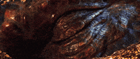 Smaug The Terrible GIF