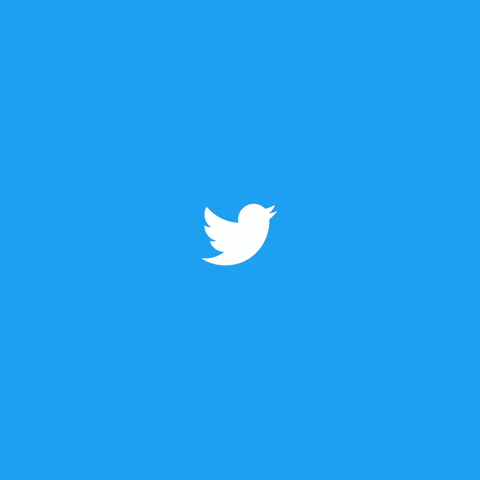 tonienblanc giphyupload GIF