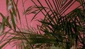found it GIF by MailChimp