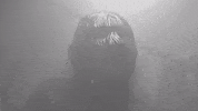 Heavy Metal GIF by Machine Head