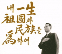 짤 GIF