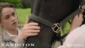 What Is Happening Falling In Love GIF by MASTERPIECE | PBS