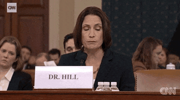 news impeachment impeachment inquiry opening statement fiona hill GIF