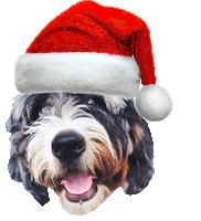 Merry Christmas Dog Sticker