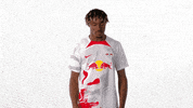 Football No GIF by RB Leipzig