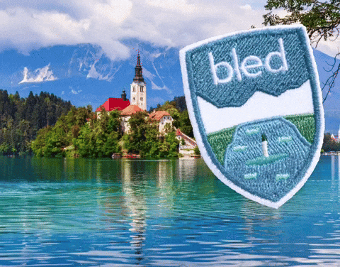 Passion4carp giphyattribution carp karpervissen bled GIF