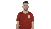 Fifa Esports Sticker by Bundesliga