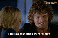 nick cummins rose GIF by The Bachelor Australia