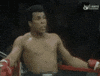 Muhammad Ali Boxing GIF