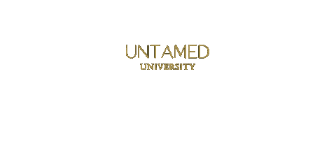 University Taylor Sticker by iamtaylorsimpson