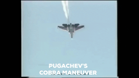 chatMDS giphygifmaker pugachevs cobra maneuver GIF