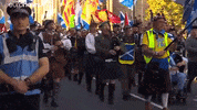 Scotland Scottish GIF by euronews