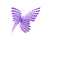 Merlii Sticker