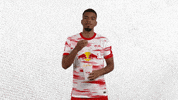 Football Popcorn GIF by RB Leipzig