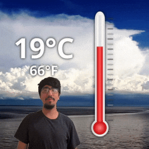 19 °C
