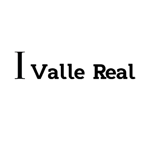 ValleReal giphyupload happy food comida Sticker