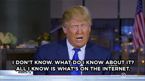 Politics gif. Donald Trump answers on The Daily Show with Trevor Noah, "I don't know. What do I know about it? All I know is what's on the Internet."