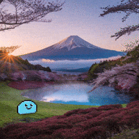 Memecoin Xrp GIF by $DROP