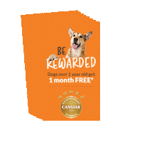 Petinsurance Sticker by pd.co.nz