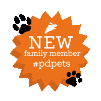 PdAu transparency new member pdpets pdcomau Sticker