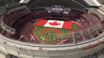 Proud Canadian GIF by Toronto Blue Jays
