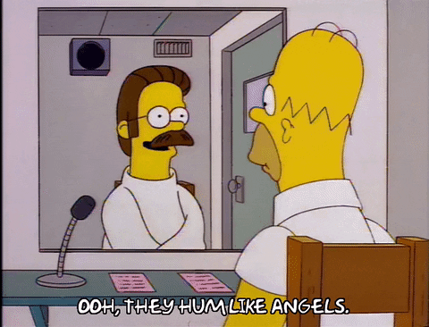 homer simpson GIF