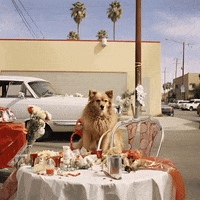 echo_echo_studio christmas holidays ai california GIF