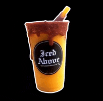 Drink GIF by Iced Above