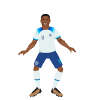 World Cup Football Sticker by Panini America