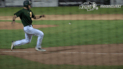 north dakota state baseball GIF by NDSU Athletics
