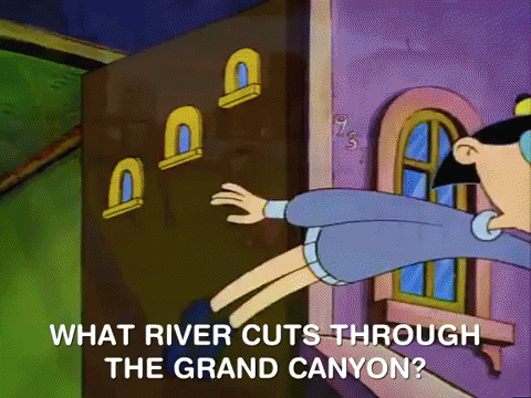 hey arnold nicksplat GIF