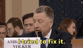 news impeachment impeachment inquiry kurt volker GIF