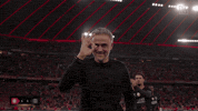 Happy Winner GIF by DAZN