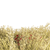 Summer Flower Sticker
