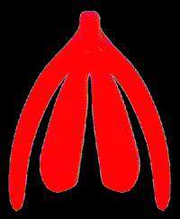 vulvarias arcoiris vulva clitoris vulvarias GIF