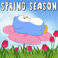Happy Spring Day GIF by Pudgy Penguins