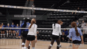 athletics volleyball GIF by GreenWave