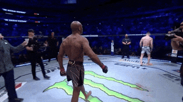 Kamaru Usman Sport GIF by UFC