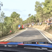 Racing Driving GIF by FIA European Rally Championship